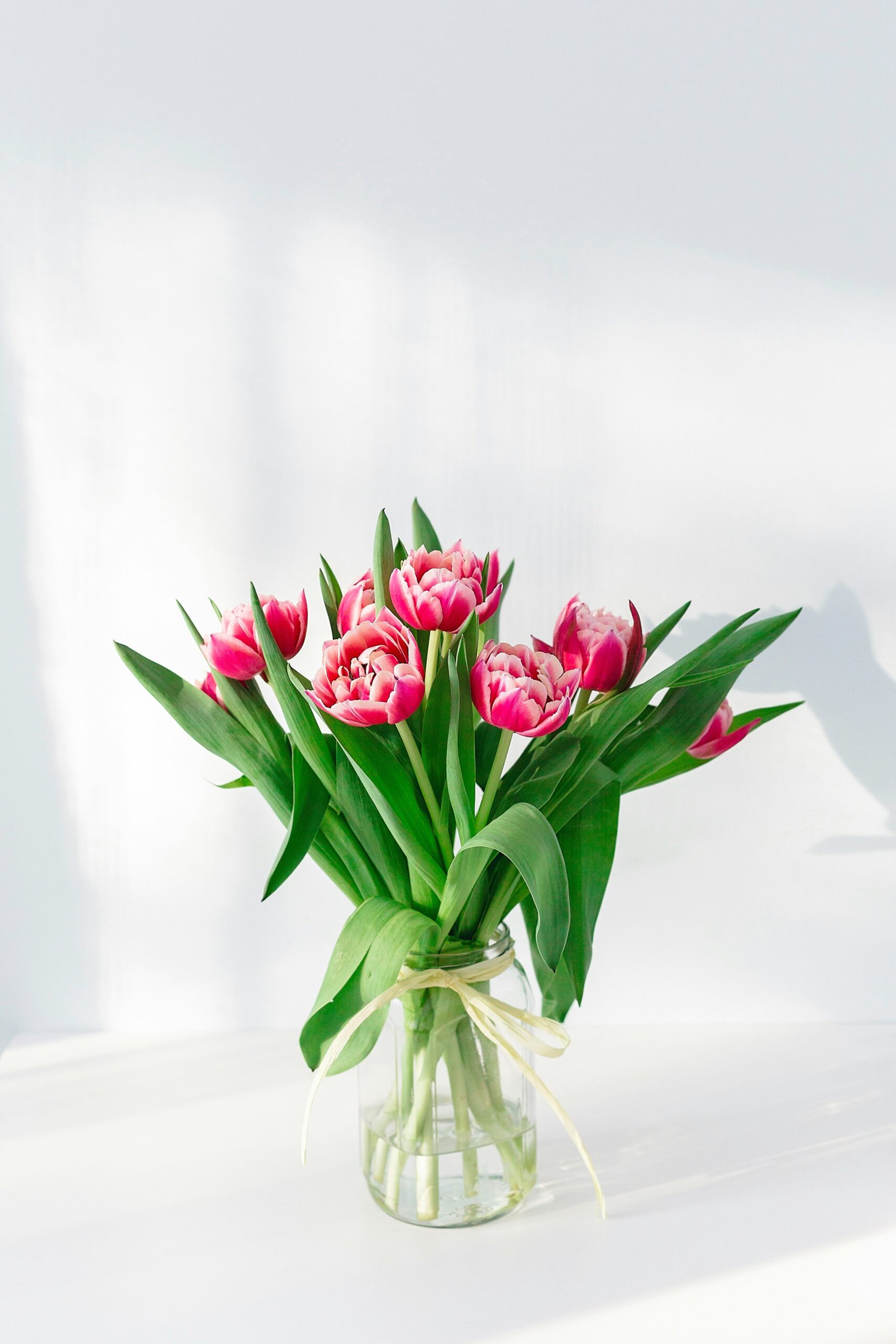 Hello World Featured Image