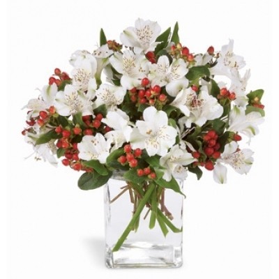 Buket Alstroemeria predivno cvijeće dostava Zagreb svježina vrhunska kvaliteta